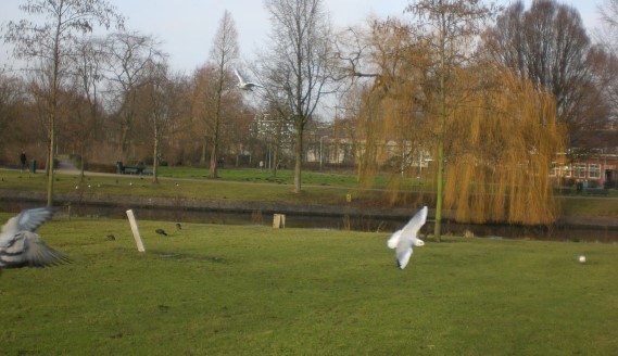 park_profiel3_schets.jpg