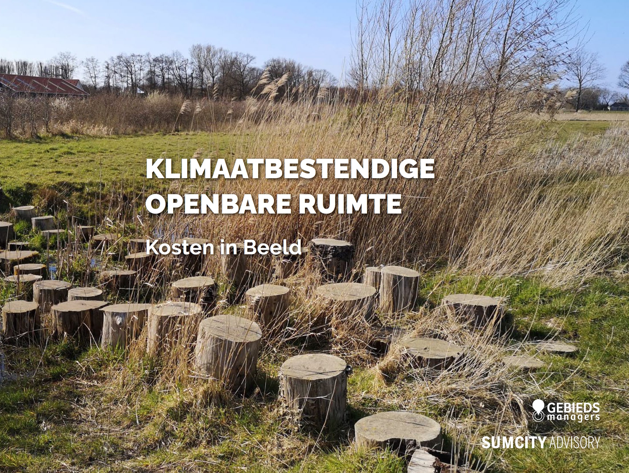 voorblad.jpg